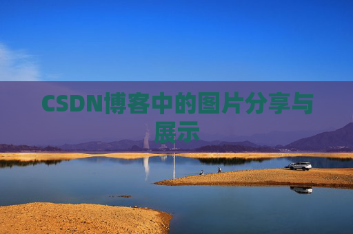 CSDN博客中的图片分享与展示